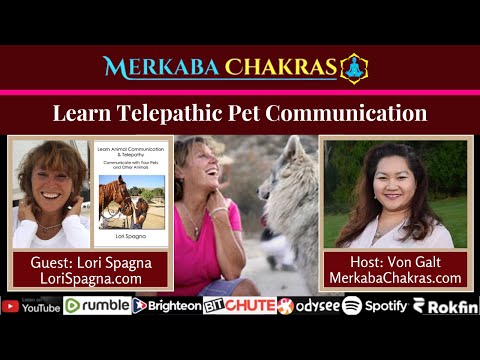 Learn Telepathic Pet Communication w/Lori Spagna: Merkaba Chakras #91