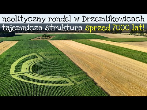 rondel neolityczny w Drzemlikowicach k. Oławy