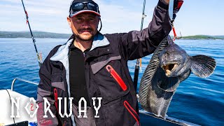 Рыбалка в норвегии тур для одного