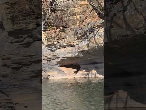 Rio Corrente / Santa Maria da vitória BA #rio #nature #naturelovers #naturephotography #shorts