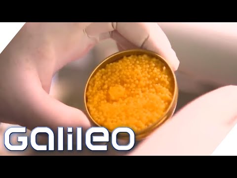 65.000€ pro Kilo! Die teuersten Lebensmittel der Welt | Galileo | ProSieben