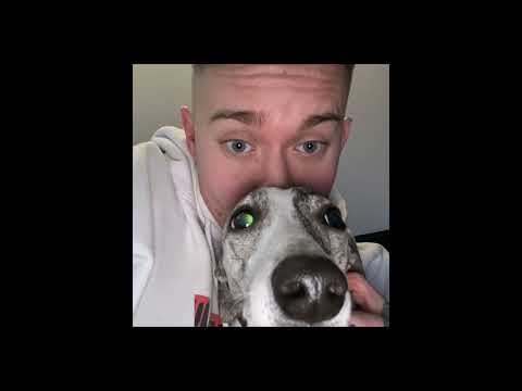 pazzy snippet - ona pyta