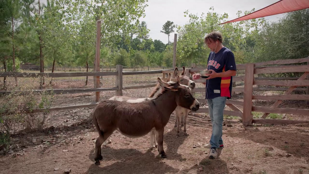 Où en êtes-vous, Richard Linklater ? | Cinéma | Centre Pompidou