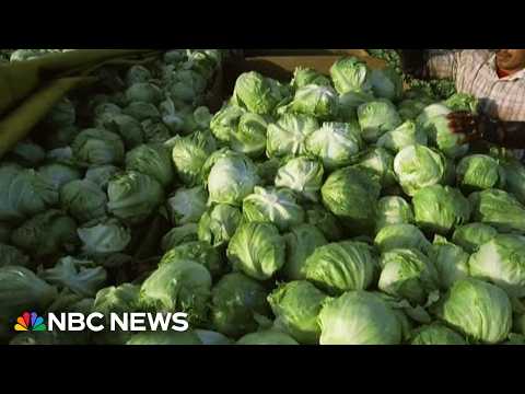 Iceberg lettuce supplier being investigated by FDA as source of cyclosporiasis outbreak