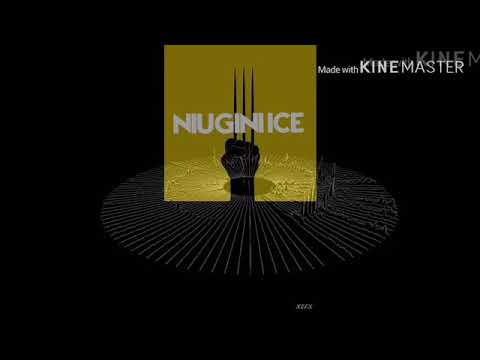 Dj Pakx ft Avicii - The night (HMS Beat 2020) niugini Ice ♣️♣️♣️