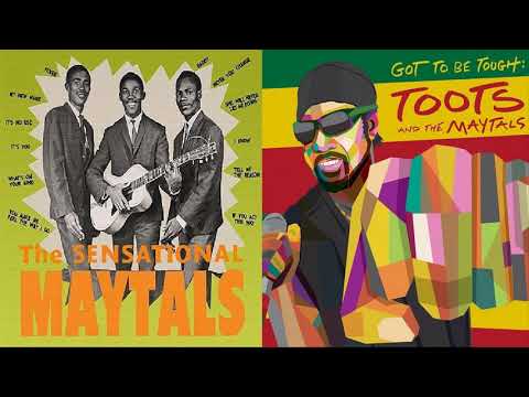 Toots and the Maytals Greatest Hits 🍓 Best Of Toots and the Maytals 🍓 Toots and the Maytals Live