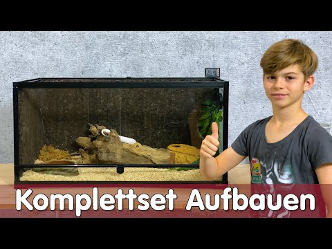 Terrarium Komplettset Aufbauen | Melinos erste Schlange | Reptil TV