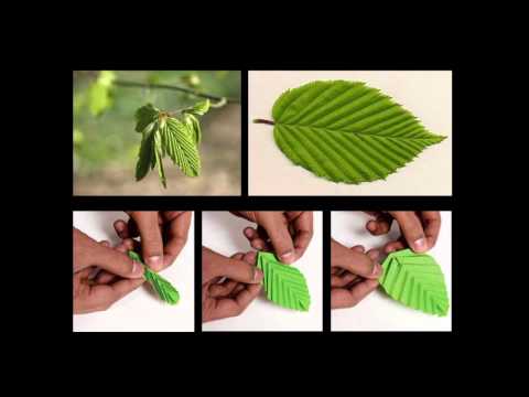 Michael Pawlyn - Biomimicry in architectural design - YouTube