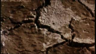 Erkan Oğur &amp; Cihat Aşkın - Bülbülüm Altın Kafeste