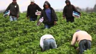 Minimum Wage 1 07480991 3087 447D A1C5 224ED920B3B6
