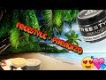 Freestyle Paradizo Der Name Sagt Alles Tabakreview