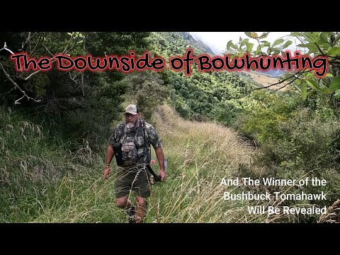 2025 First Bow Hunting Revelations