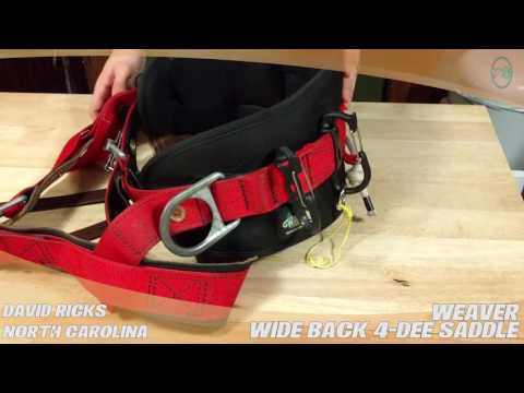 YouTube Thumbnail wdpTcLNzYxM