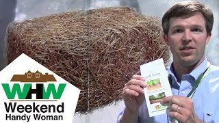 #SwiftStraw Pine Straw Bales for Landscaping and Mulch: By Lori Young of the Weekend Handy Woman