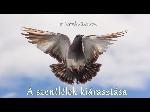 dr. Vankó Zsuzsa: A SZENTLÉLEK KIÁRASZTÁSA