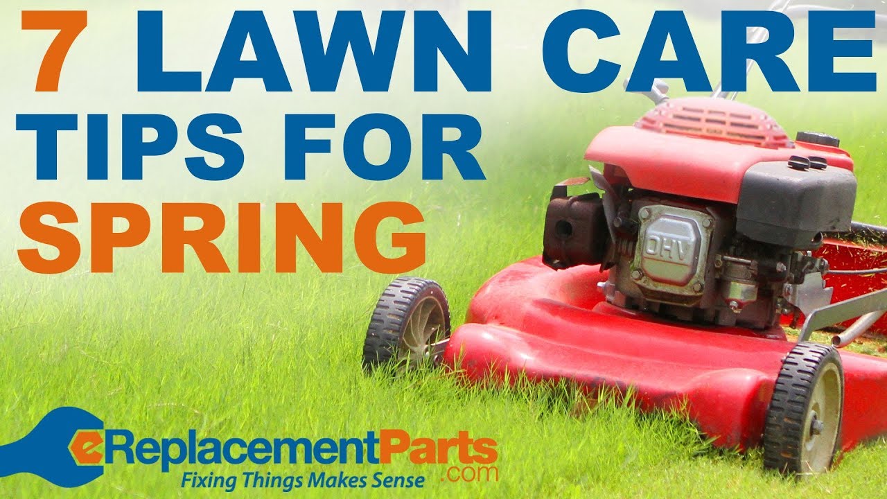 7 Lawn Care Tips For Spring