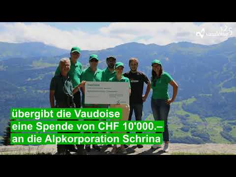 involvere 2020 : Alp Schrina