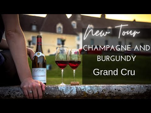 Champagne and Burgundy Grand Cru Tour