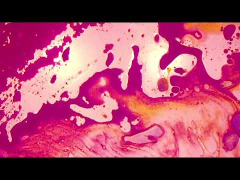 BILDERTAL - NUIT DEBOUT music video by theVAIA