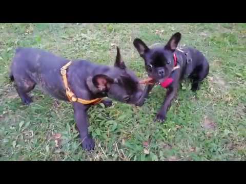 14 10 2018 Luna und Emma