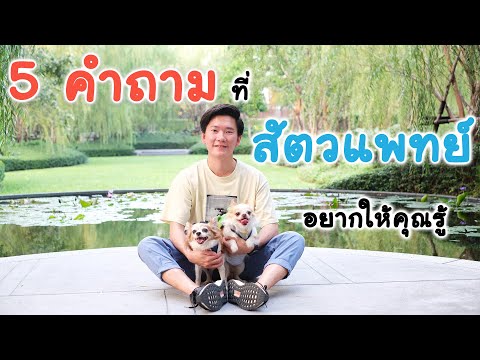 ยาโป๊สำหรับผู้หญิงที่จะซื้อในมอสโก SMS เพื่อกระตุ้นผู้หญิง