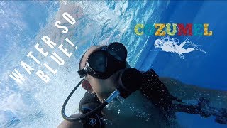 Scuba Diving in Cozumel, Mexico -  It's So Blue!