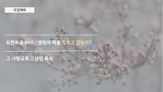 [주일예배] 요한복음 #45 : 생명의 떡을 맛보고 있는가?