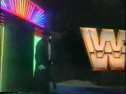 The undertaker vs Bam Bam Bigelow Weg 1993