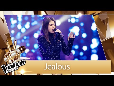 THE VOICE Israel | Amit Shauli - Jealous