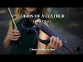 Billie Eilish BIRDS OF A FEATHER 1 Hour Violin By ViOLiNiA For Relaxation Stress Relief