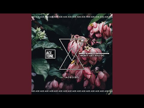 I Won't Let You Go (Original Mix)