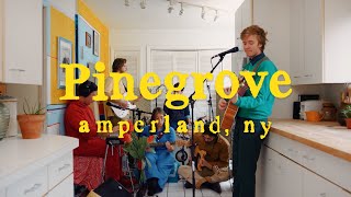 Pinegrove - "Amperland, NY" - The Movie