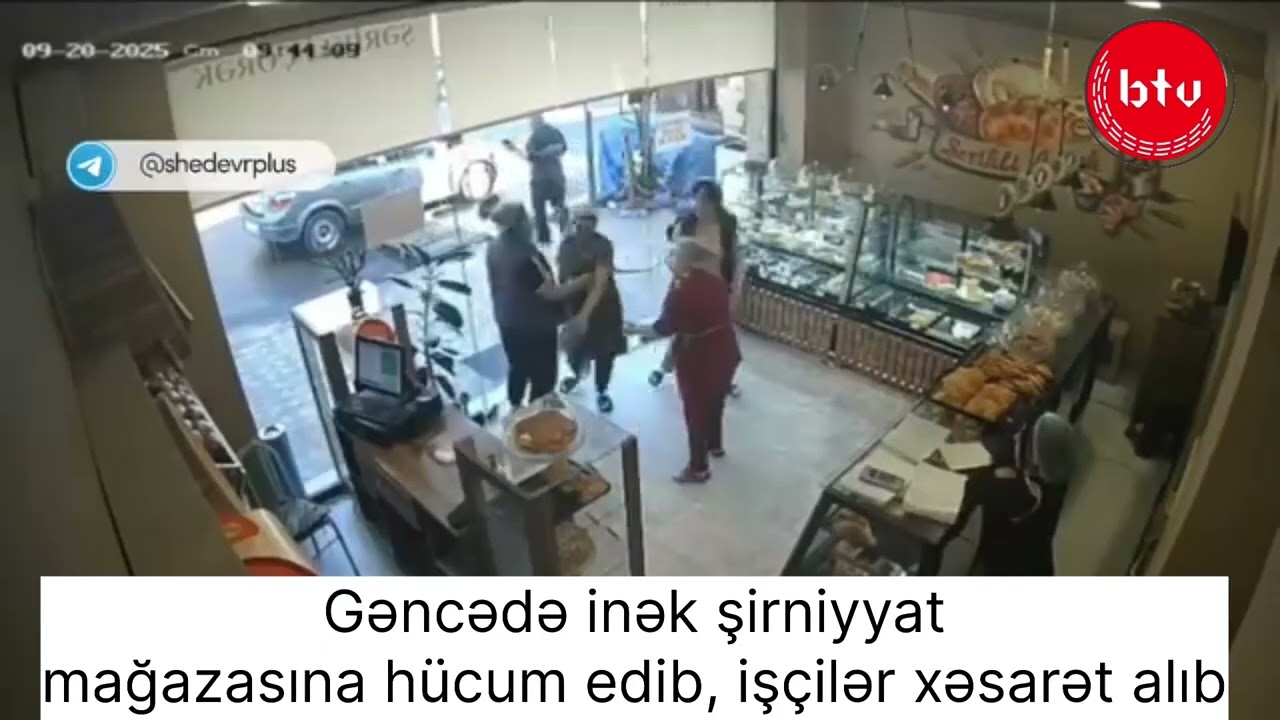 Gəncədə inək şirniyyat mağazasına hücum edib, işçilər xəsarət alıb