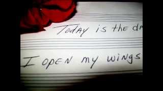 I&#39;m Breakin&#39; Free  video.wmv