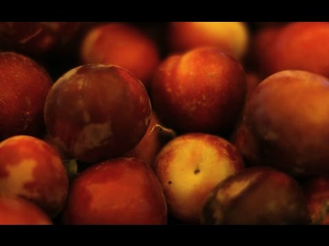 download lagu mp3 mp4 Buy Plums, download lagu Buy Plums gratis, unduh video klip Buy Plums
