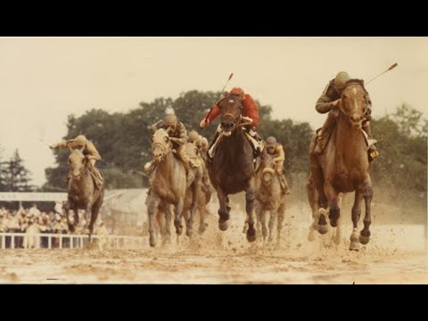 Preakness Stakes (G1) 1983