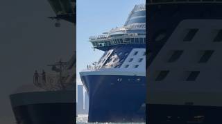 Celebrity Beyond 🛳️⚓️ #like #share #comment #subscribe #cruiseship #cruise #vacation #shorts #short