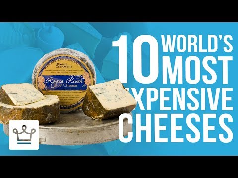 download lagu mp3 mp4 Best Cheese In The World, download lagu Best Cheese In The World gratis, unduh video klip Best Cheese In The World