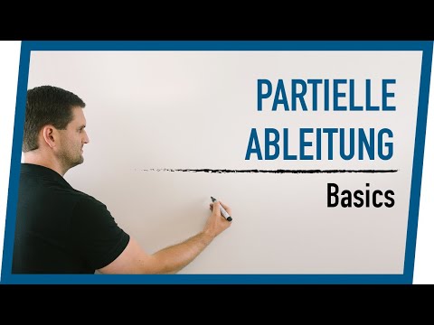 Partielle Ableitung Basics | Mathe by Daniel Jung