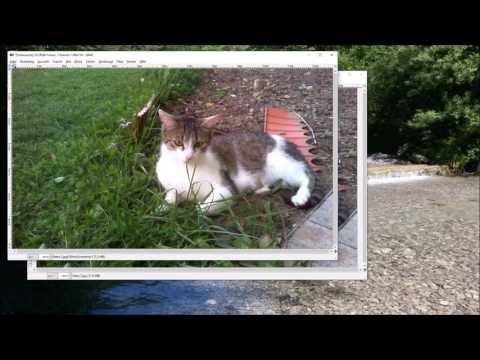 Animiertes GIF/Bild mit GIMP erstellen