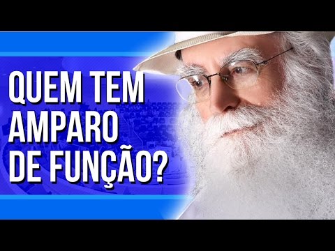Waldo Vieira - Amparadores: Quem Tem Amparador De Função? | #Conscienciologia