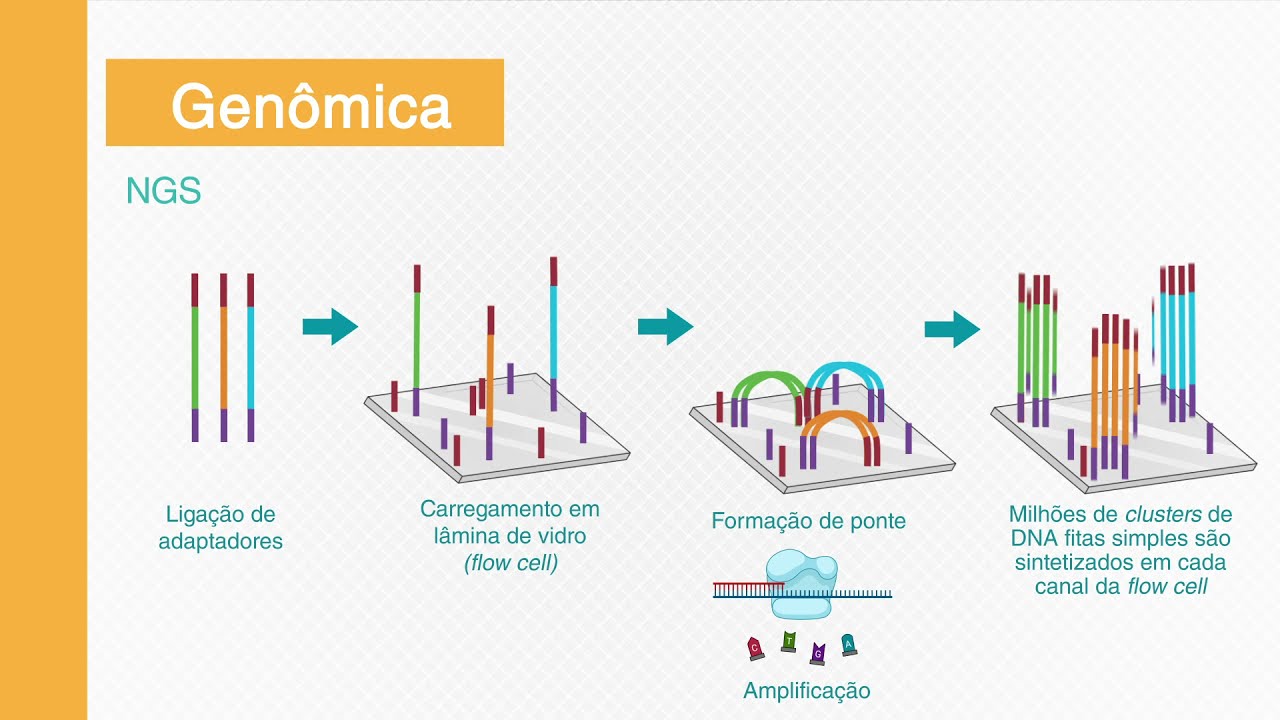 Técnicas ômicas: estudos integrados de modelos biológicos