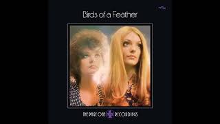 Take Me to The Pilot - Birds of A Feather