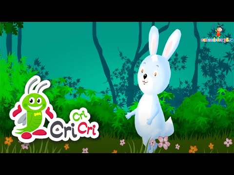 Top 10 cantecele cu animalute pentru copii (colaj) I  CriCriCri