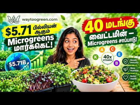 Microgreens Market 2026–2031: Global Growth & India Opportunities | Microgreens Market