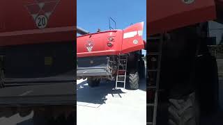 Massey Ferguson 7370 skurtresker | Bilde 4 - Agroline