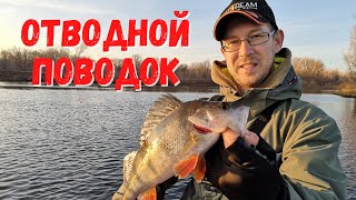 Отводной поводок на окуня монтаж способы 2020гв