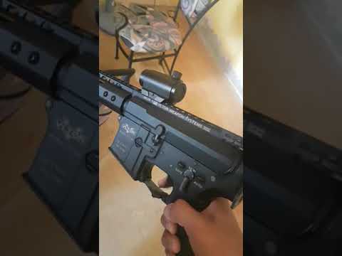 G&P Vltor with F1 Polarstar