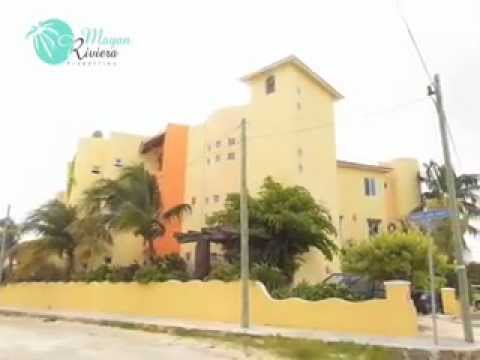 Vacation Rental in Puerto Morelos, Mexico: Las Iguanas Condo Geckoman