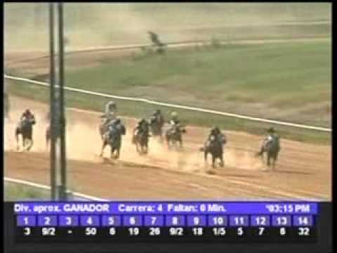 Resumen lunes 15 de noviembre 2010 - Rancho Alegre